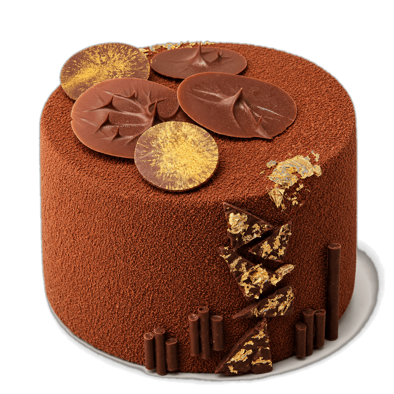 Britain's Best Classic Cake 2026 — chocolate ganache cake with gold leaf